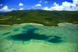 西表島