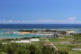 奥武島