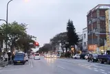 空港通り（ゲート通り）