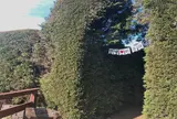 済州金寧迷路公園