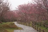 名護城跡公園