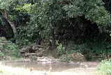 受水走水