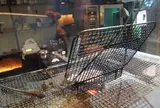 炭火ダイニングCOCOKARA