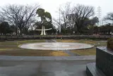 天沼弁天池公園