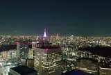 新宿都庁南展望台