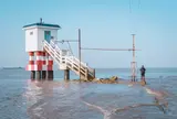 横沙島