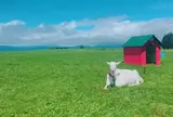 レークヒル・ファーム