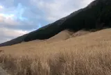 仙石原すすき草原
