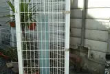 サカエ薬局(中内功実家)跡地