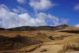 稲取細野高原