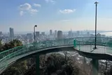 ビーナスブリッジ