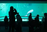 鳥羽水族館