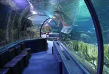 Under Water World（アンダーウォーターワールド）