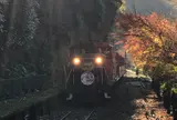 嵯峨野トロッコ列車