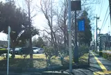 東綾瀬公園