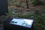 大手町の森