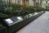箱根駅伝 スタートライン