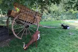 アクリマタシオン庭園