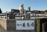 掛川花鳥園