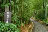 竹林の小径