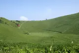 伊豆高原