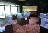 体感型動物園 『iZoo』