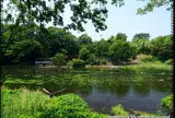 柿田川公園