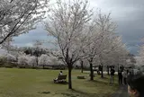 城山公園立体無料駐車場