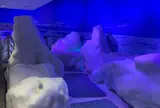 オホーツク流氷館