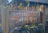 벼레별씨（米の星 ビョレビョルシ）