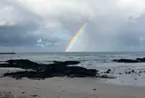 세화해수욕장（細花海水浴場）