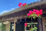 SAKURA HOUSE
