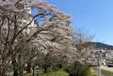 しらさぎ緑地