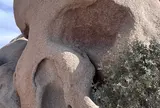 スカル・ロック