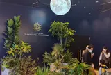 コニカミノルタ プラネタリアYOKOHAMA