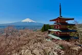 新倉山浅間公園