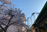 富士急ハイランド