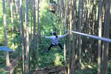 フォレストアドベンチャー・小田原