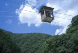 野猿