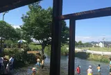 菊水苑