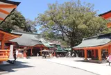 熊野那智大社