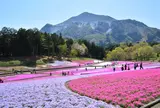 羊山公園