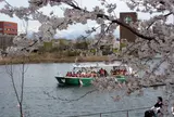 富岩水上ライン