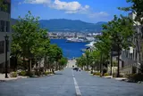 八幡坂