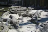 鬼山地獄