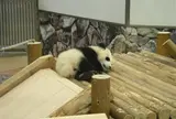 アドベンチャーワールド