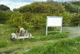 神籬(ひもろぎ)遺跡