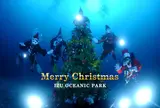 伊豆海洋公園ダイビングセンター