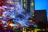 紀伊和歌山藩徳川家屋敷跡