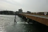 宇治橋
